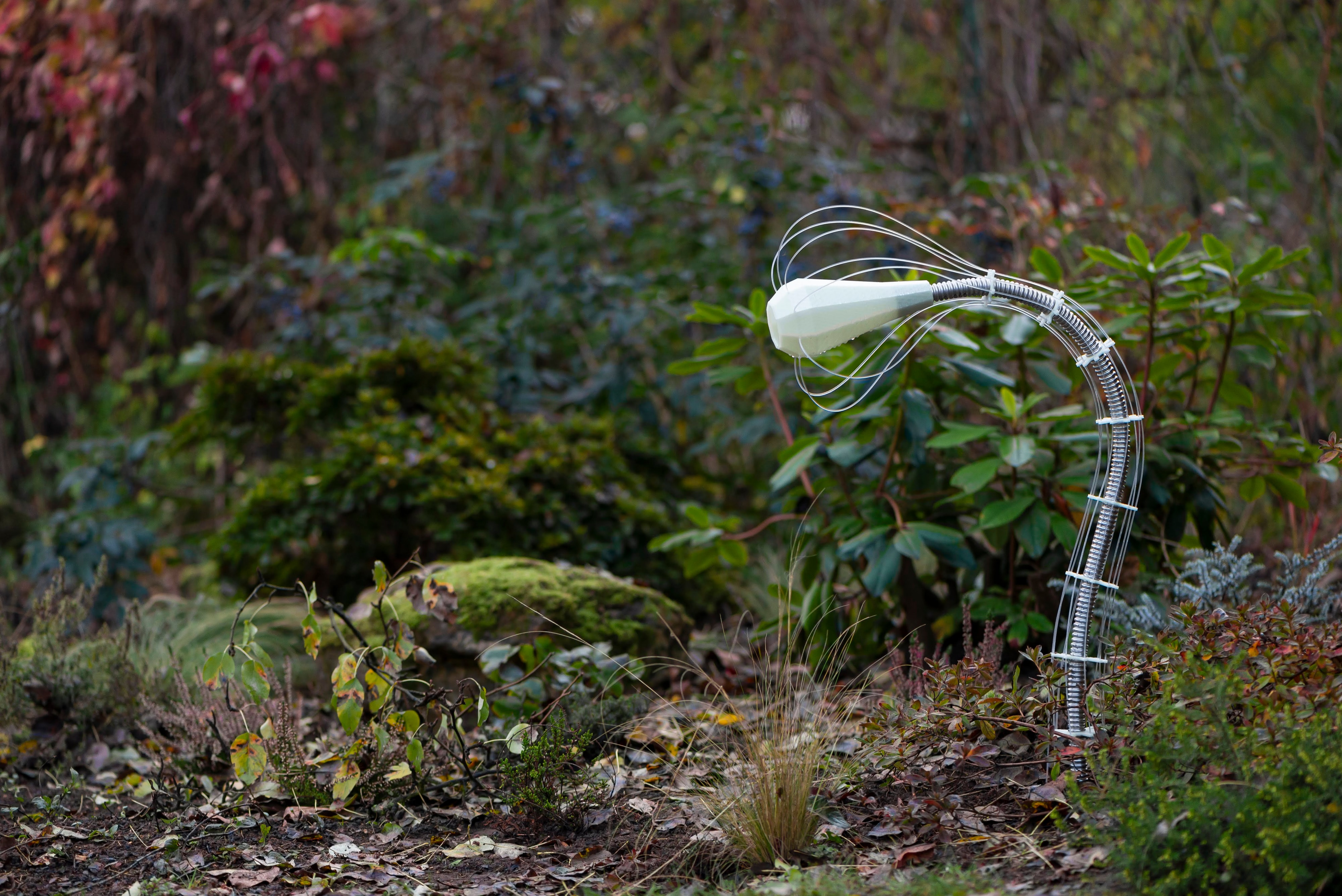 IXFID — outdoor curved lamp with whisk-like cage shade in a garden
