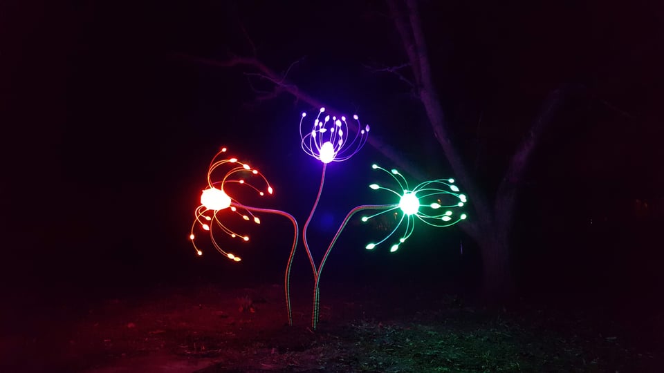 Tris — three glowing flower-like outdoor sculptures in orange, purple, and green at night