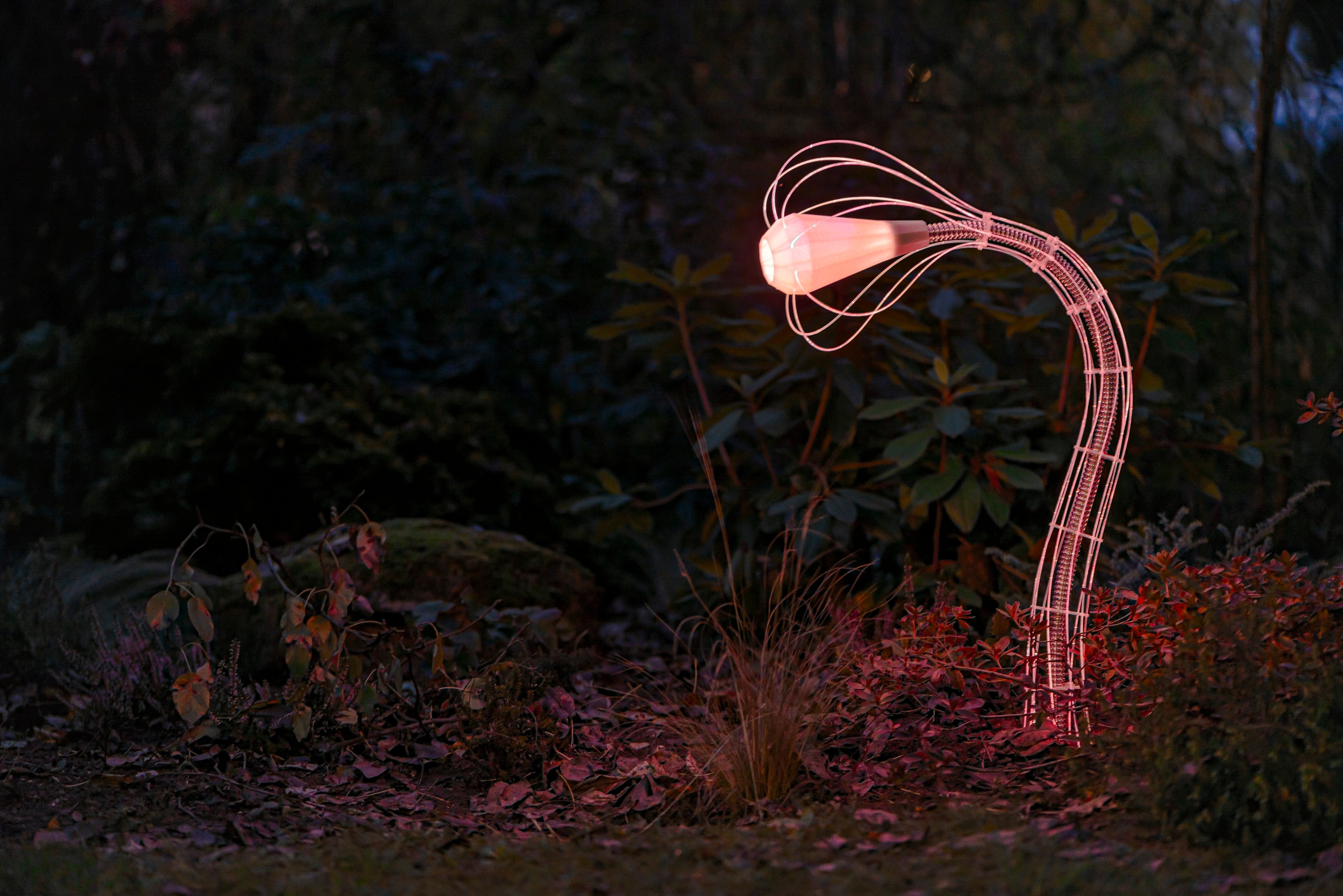 IXFID — outdoor curved garden lamp glowing warm pink-orange at night